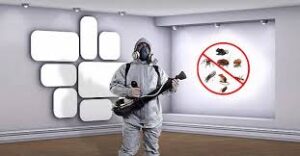 شركة مكافحة الرمة في الشارقة