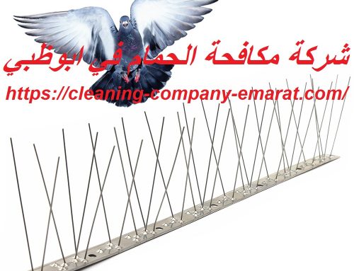 شركة مكافحة الحمام في ابوظبي |0543331609|جل طارد الحمام
