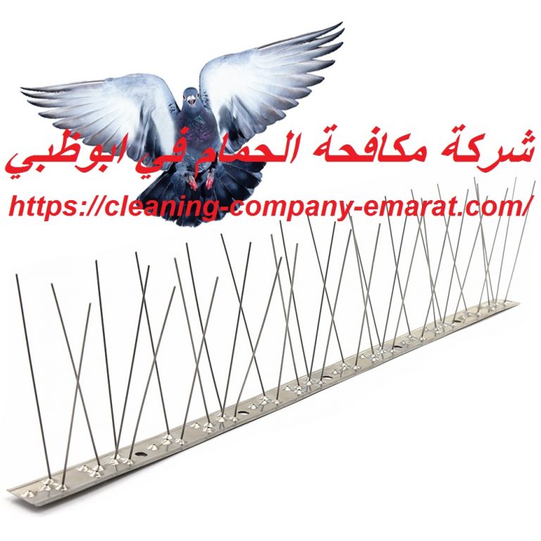شركة مكافحة الحمام في ابوظبي