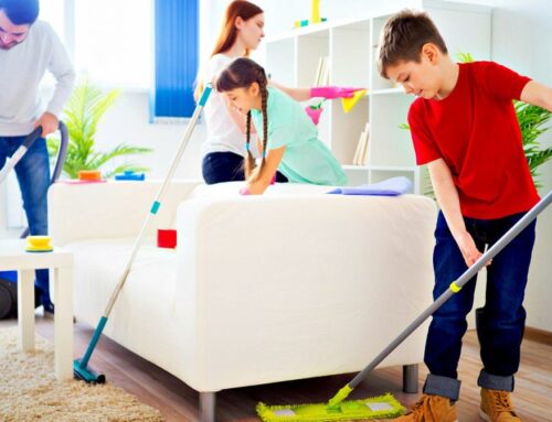 شركة تنظيف منازل في عجمان |0543331609| تعقيم منازل