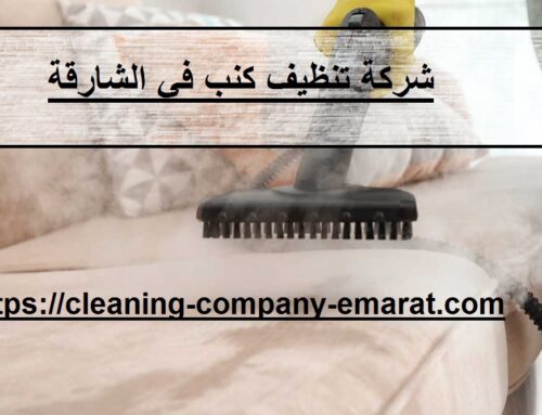 شركة تنظيف كنب في الشارقة |0543331609 | غسيل بالبخار