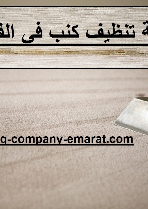 شركة تنظيف كنب في الفجيرة