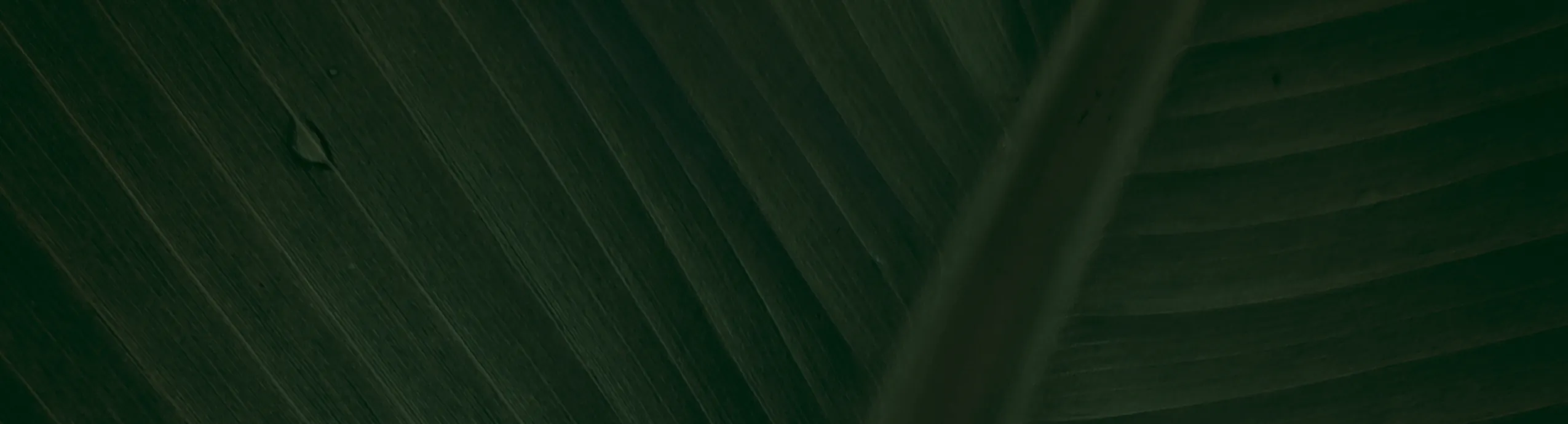 شركة تنظيف احواش في الفجيرة : 0568950034