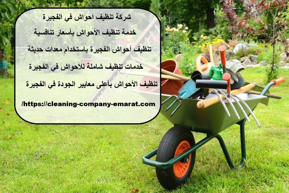 شركة تنظيف احواش في الفجيرة