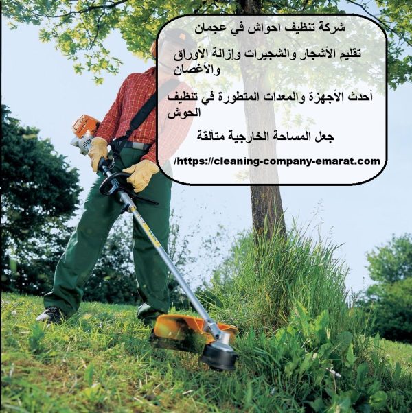 شركة تنظيف احواش في عجمان