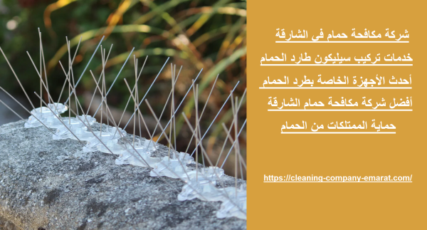 شركة مكافحة حمام في الشارقة