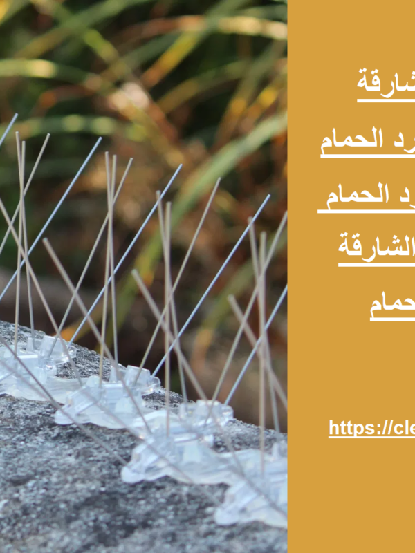 شركة مكافحة حمام في الشارقة