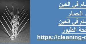 شركة مكافحة حمام في العين