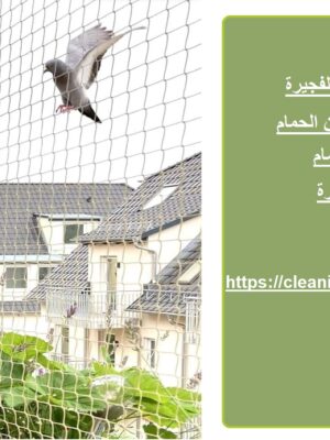 شركة مكافحة حمام في الفجيرة