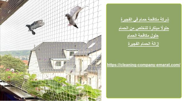 شركة مكافحة حمام في الفجيرة
