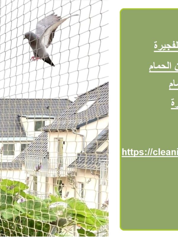 شركة مكافحة حمام في الفجيرة