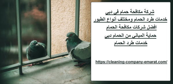 شركة مكافحة حمام في دبي