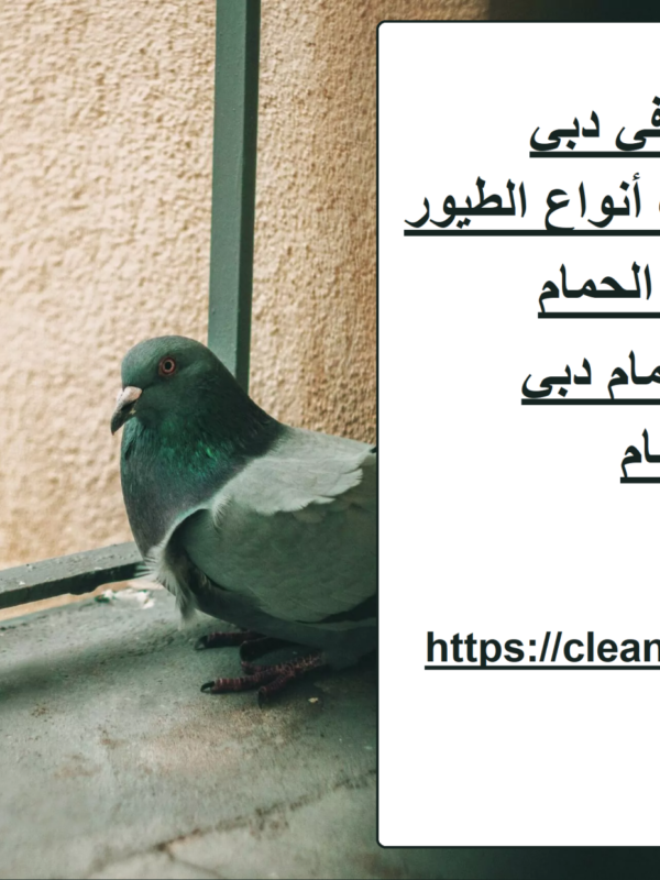 شركة مكافحة حمام في دبي
