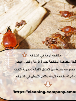 مكافحة الرمة في الشارقة