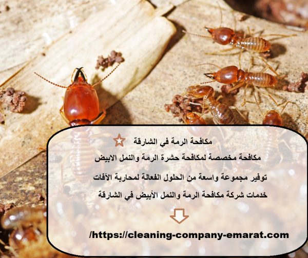 مكافحة الرمة في الشارقة