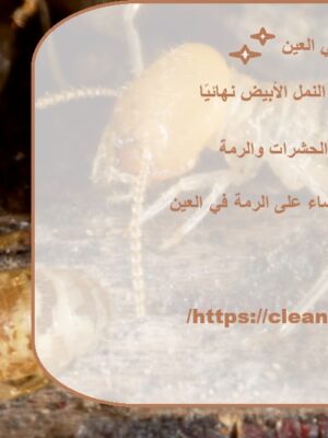مكافحة الرمة في العين