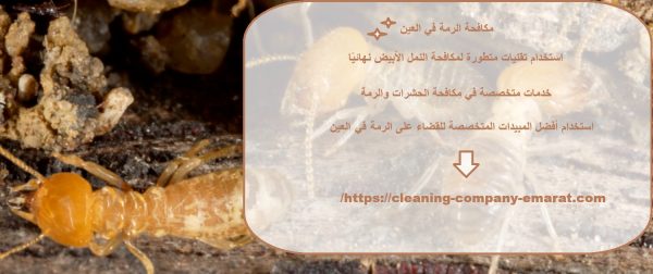 مكافحة الرمة في العين