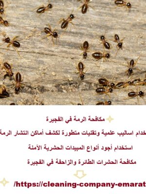 مكافحة الرمة في الفجيرة