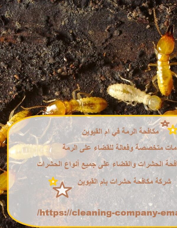 مكافحة الرمة في ام القيوين