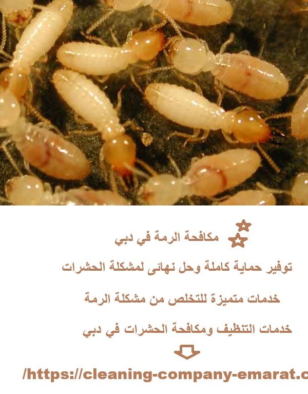 مكافحة الرمة في دبي