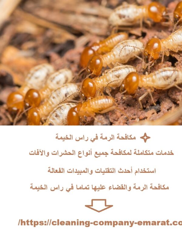 مكافحة الرمة في راس الخيمة