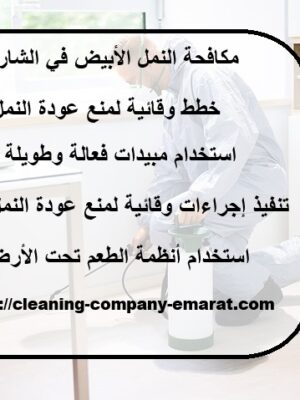 مكافحة النمل الأبيض في الشارقة