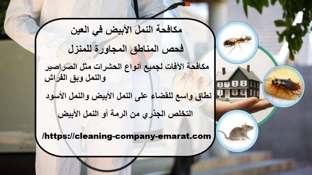مكافحة النمل الأبيض في العين