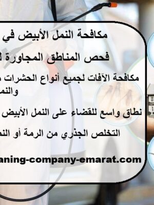 مكافحة النمل الأبيض في العين