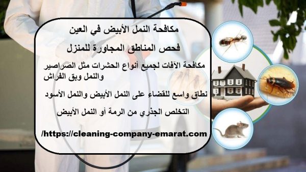 مكافحة النمل الأبيض في العين