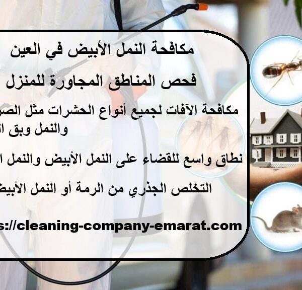 مكافحة النمل الأبيض في العين