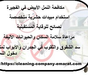 مكافحة النمل الأبيض في الفجيرة
