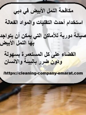 مكافحة النمل الأبيض في دبي
