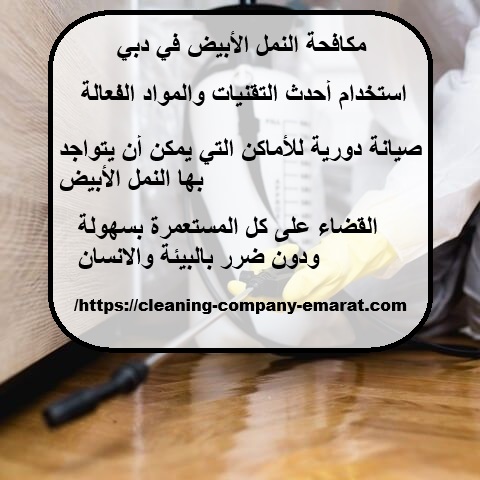 مكافحة النمل الأبيض في دبي