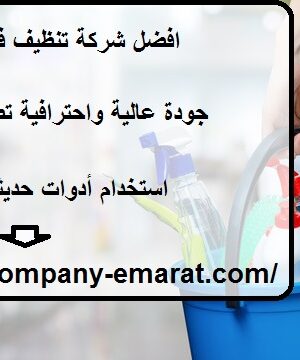 افضل شركة تنظيف في النيادات العين