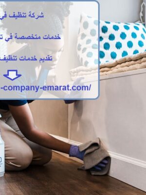 شركة تنظيف في الجيمي