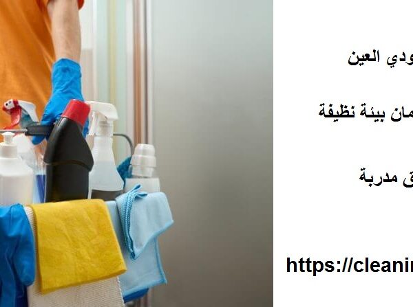 شركة تنظيف في المسعودي العين