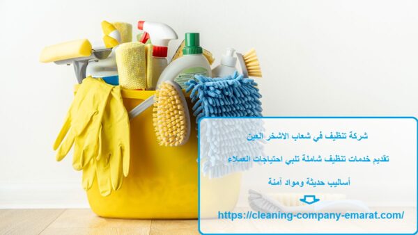 شركة تنظيف في شعاب الاشخر العين