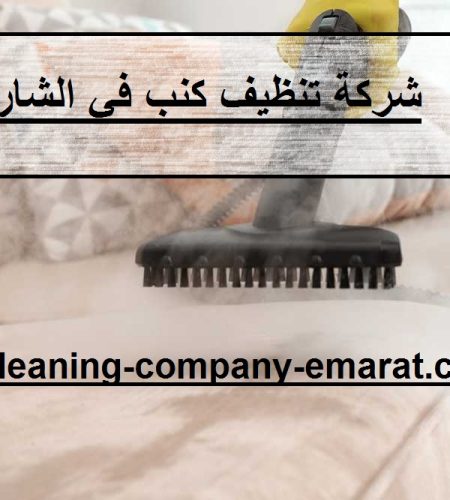 شركة تنظيف كنب في الشارقة